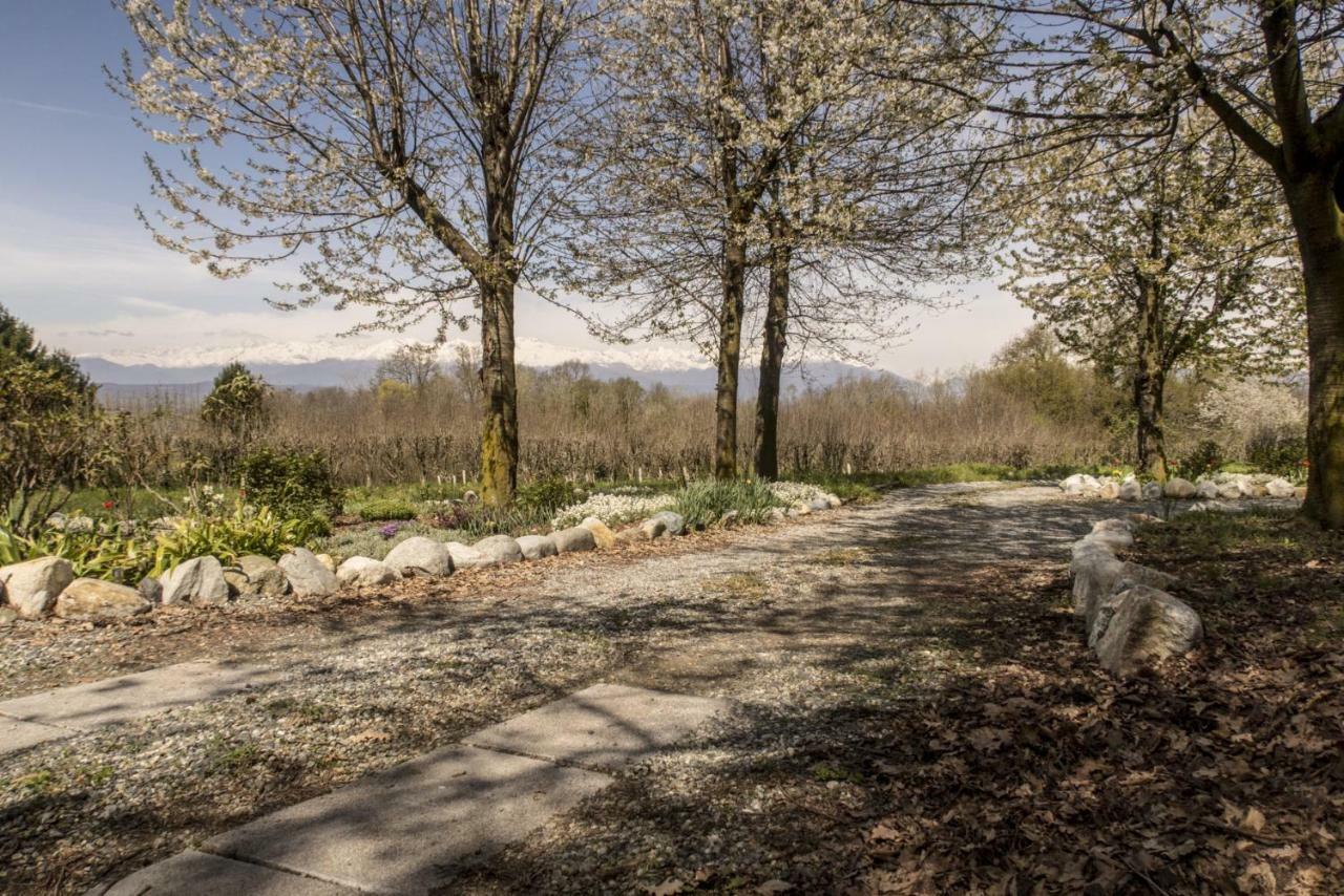 B&B Il Mirtillo Moncrivello Dış mekan fotoğraf